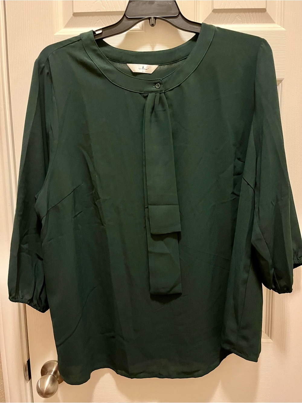 Agnes Orinda 3X Deep Forest Green Tie Neck Blouse Plus Size